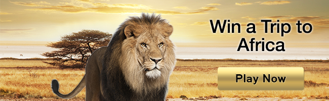 leon and a button that invites to play casino