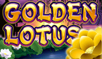 Golden Lotus