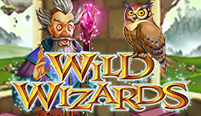 Wild Wizards
